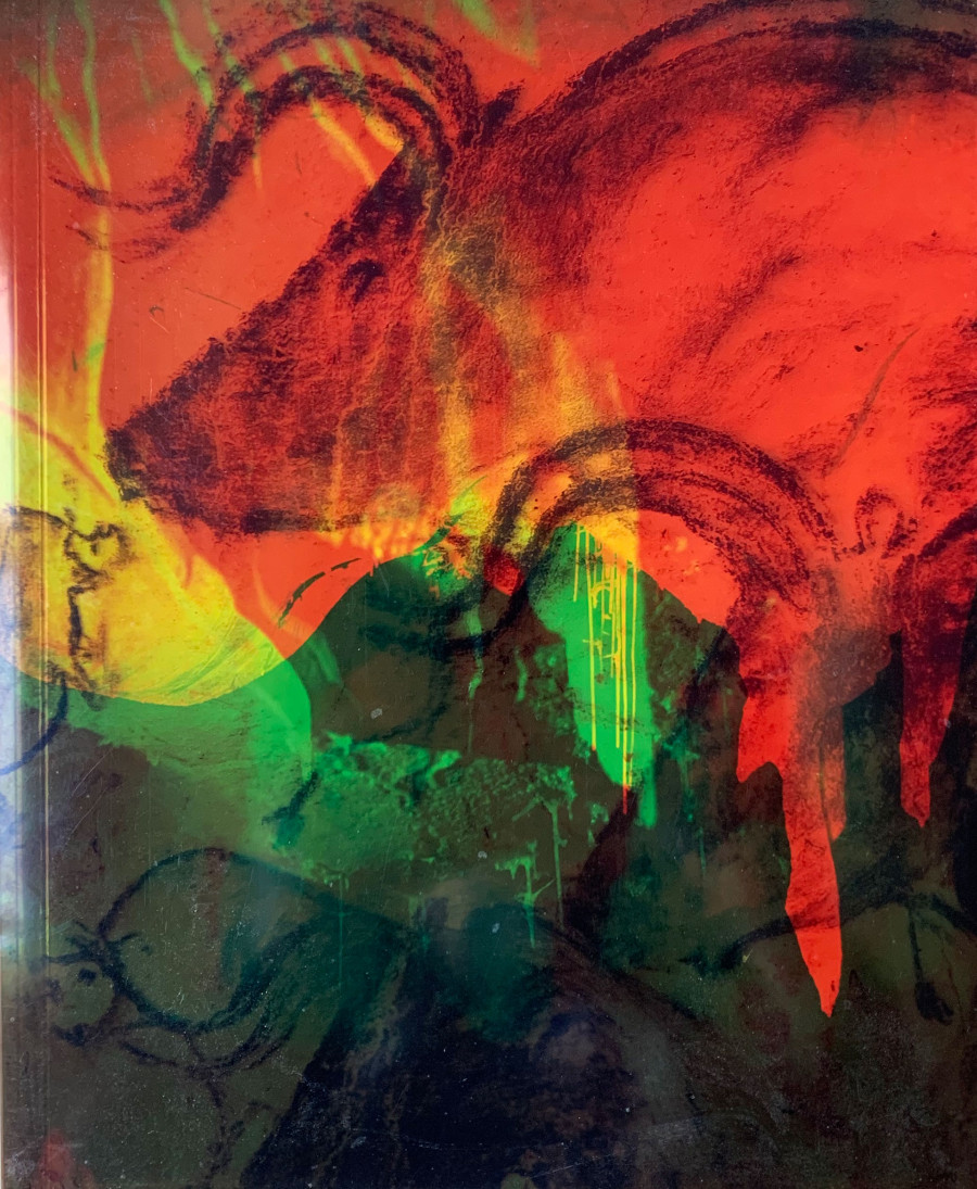 Philippe Durand - Chauvet, l'aventure intérieure