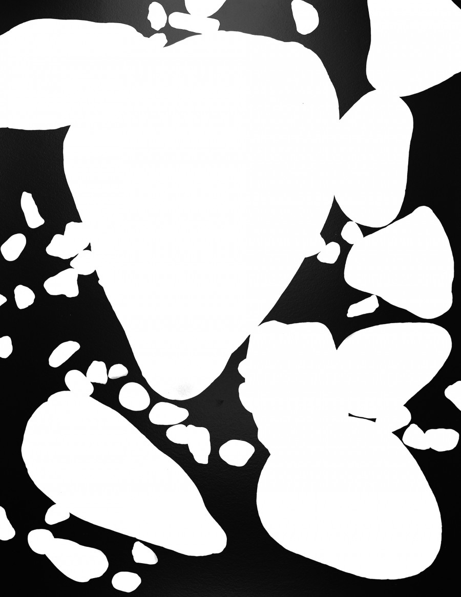 Philippe Durand - 56 millions d'années