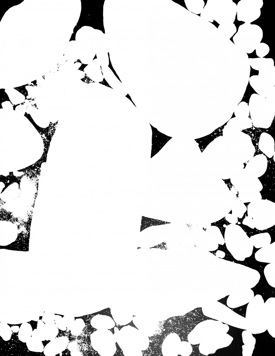 Philippe Durand - 56 millions d'années