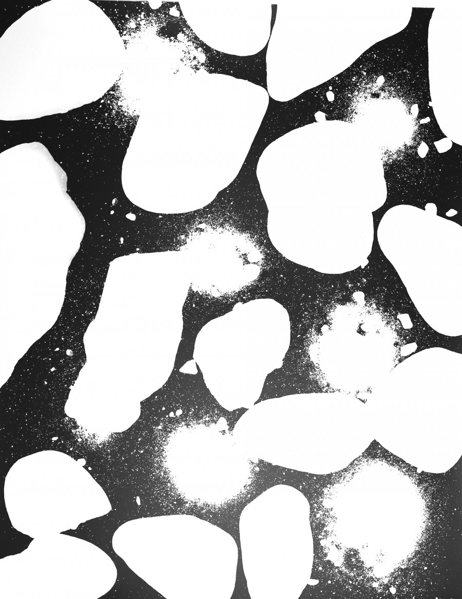 Philippe Durand - 56 millions d'années