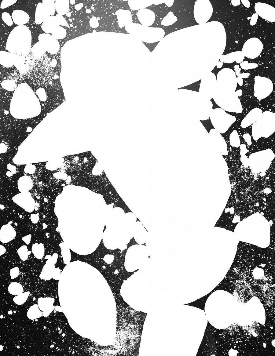 Philippe Durand - 56 millions d'années