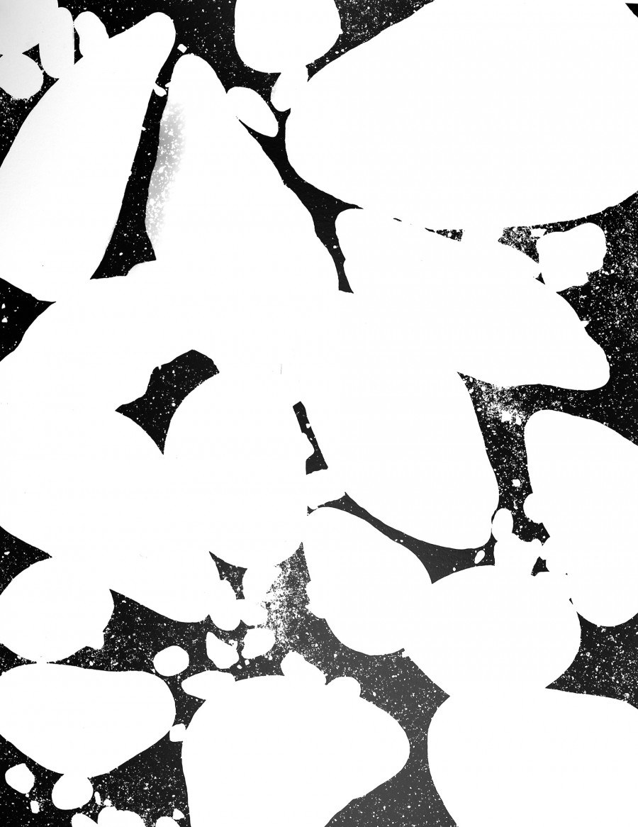 Philippe Durand - 56 millions d'années