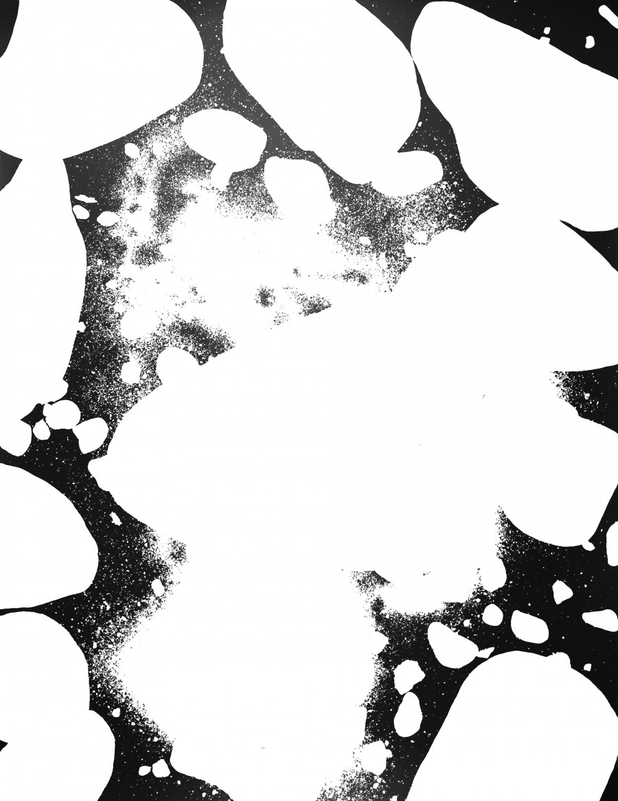 Philippe Durand - 56 millions d'années