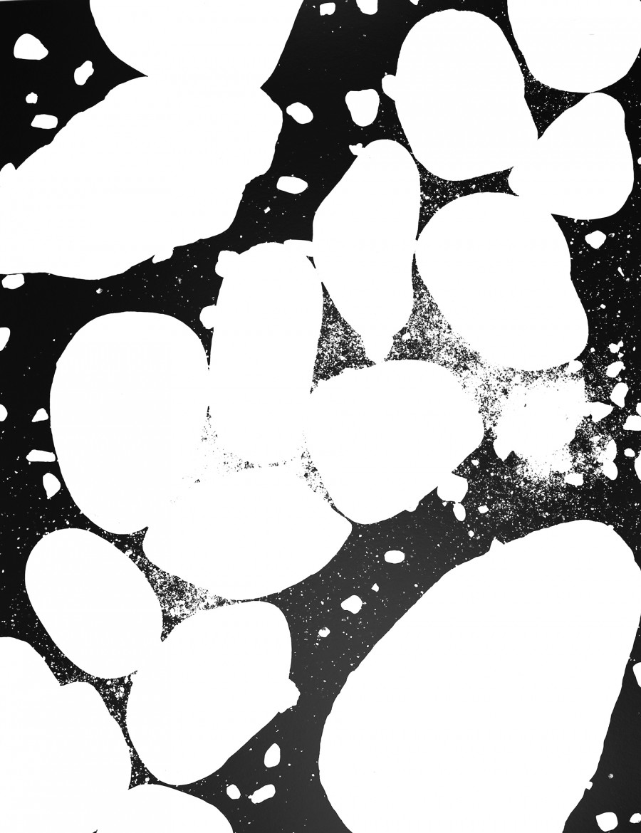 Philippe Durand - 56 millions d'années