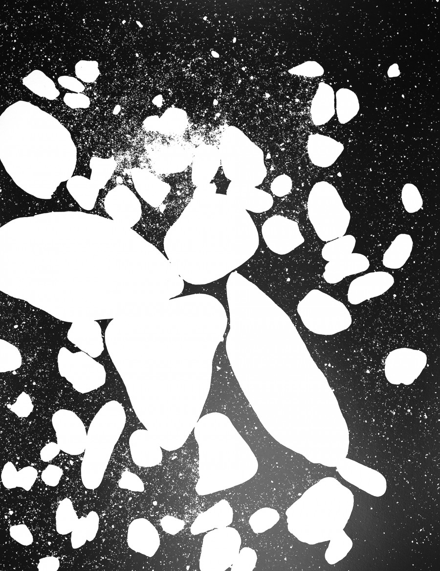 Philippe Durand - 56 millions d'années