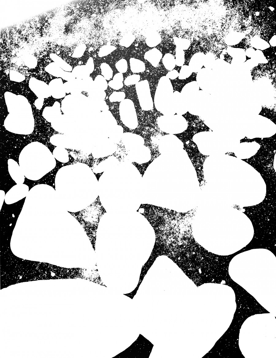 Philippe Durand - 56 millions d'années