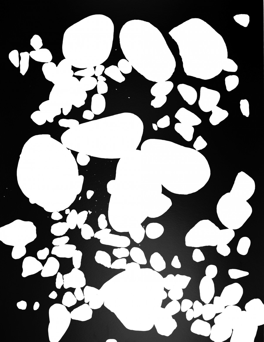 Philippe Durand - 56 millions d'années