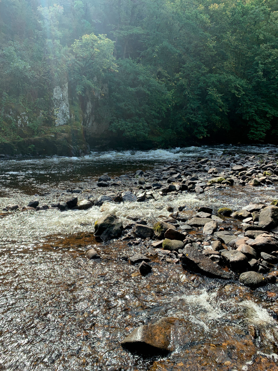 Philippe Durand - 56 millions d'années