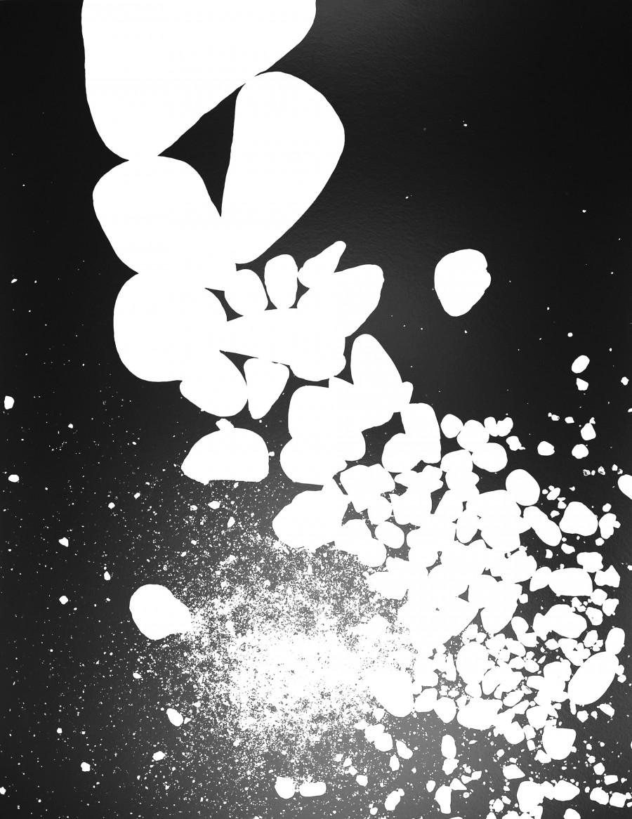 Philippe Durand - 56 millions d'années