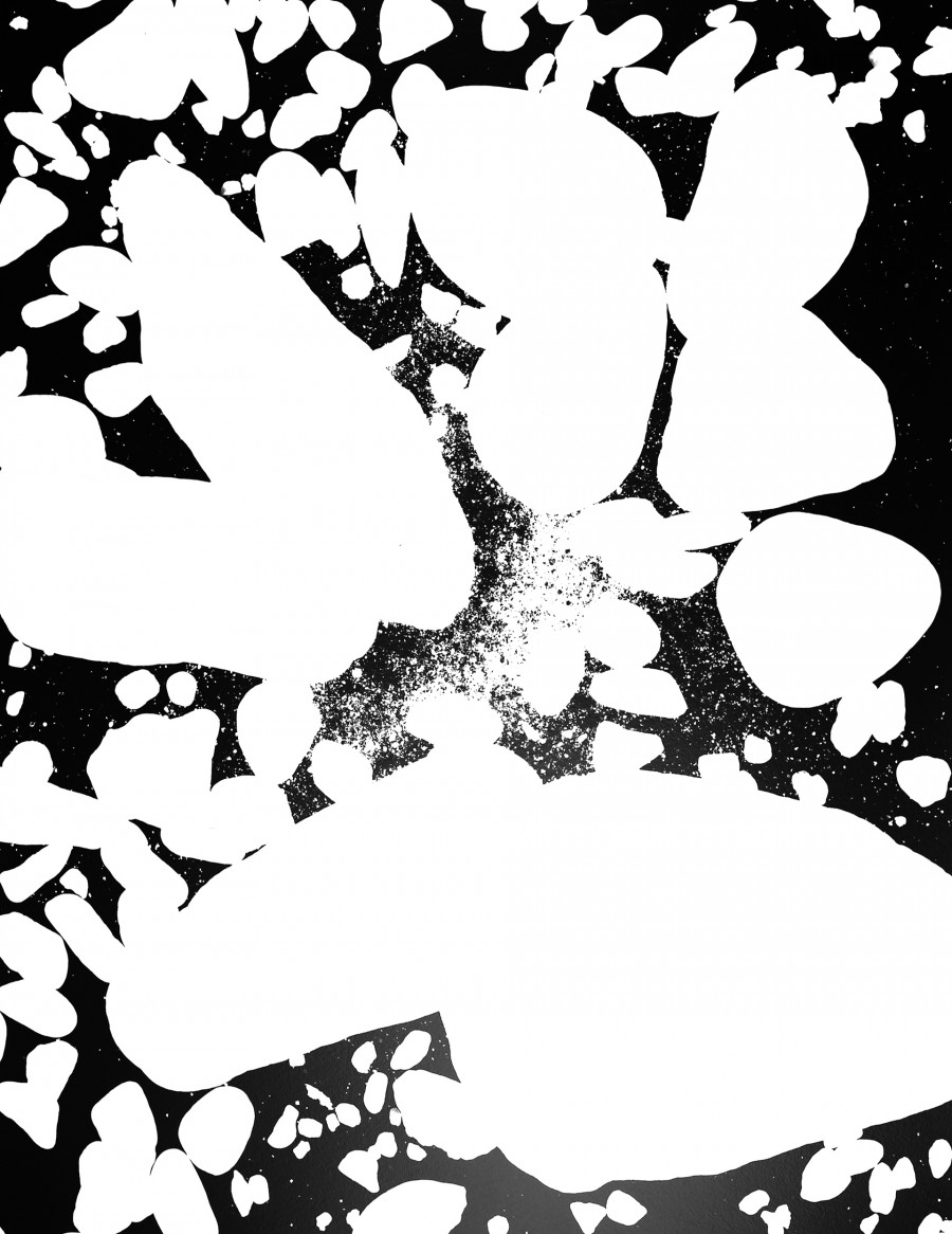 Philippe Durand - 56 millions d'années