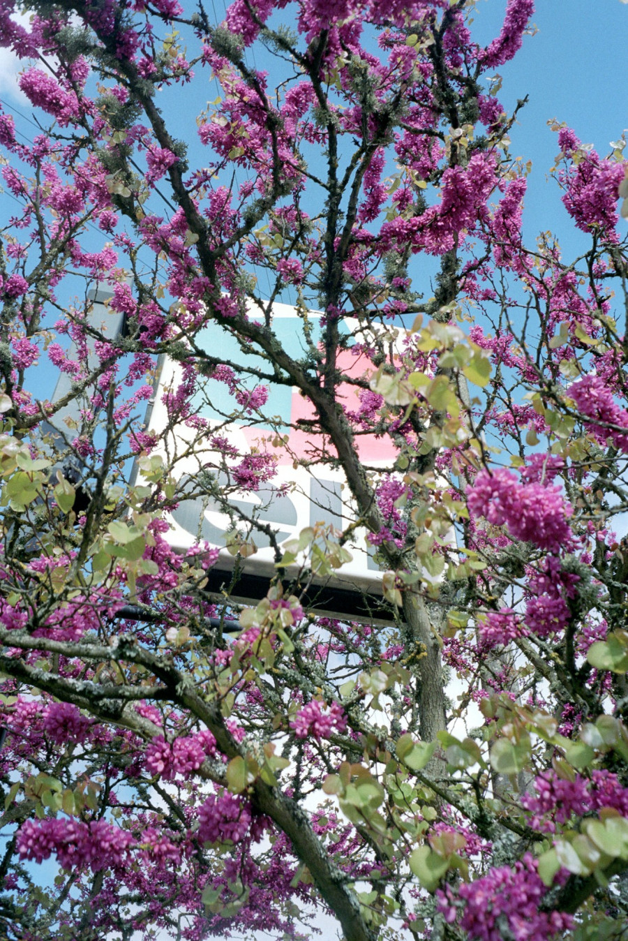 Philippe Durand - A Lot