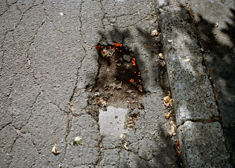 Philippe Durand - Beograd