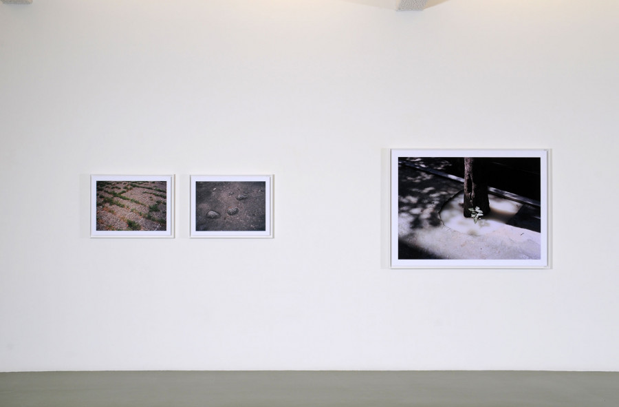 Philippe Durand - Beograd