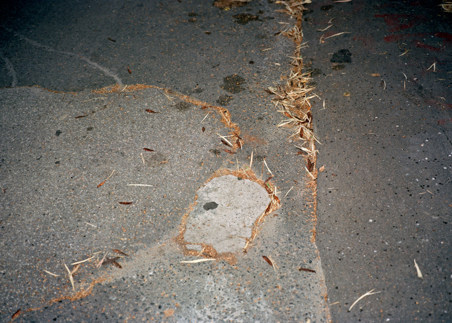 Philippe Durand - Beograd