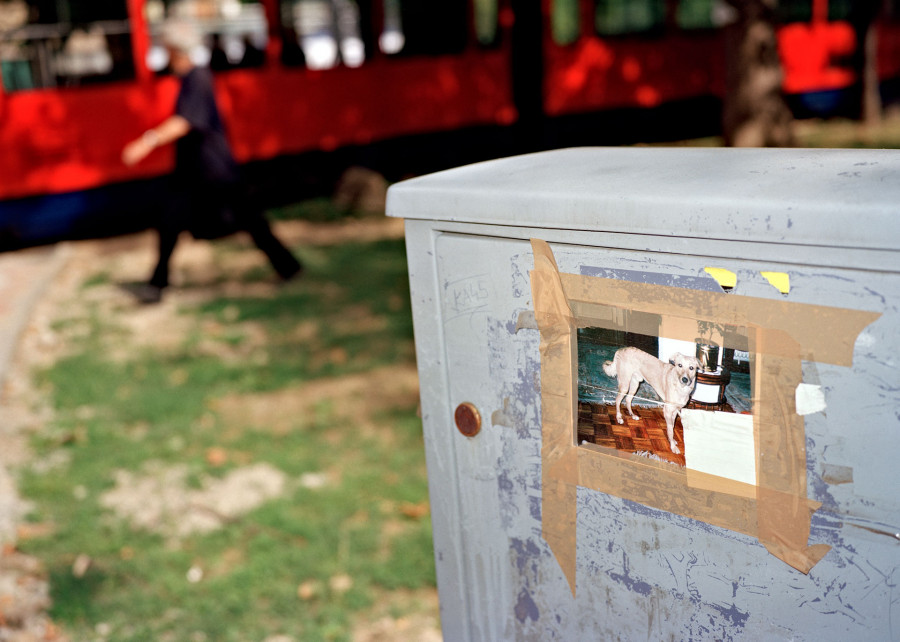 Philippe Durand - Beograd