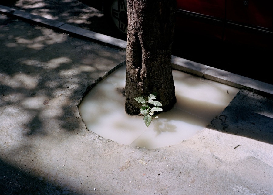 Philippe Durand - Beograd