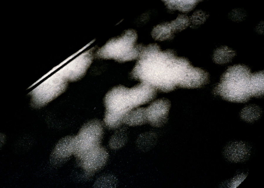 Philippe Durand - Beograd