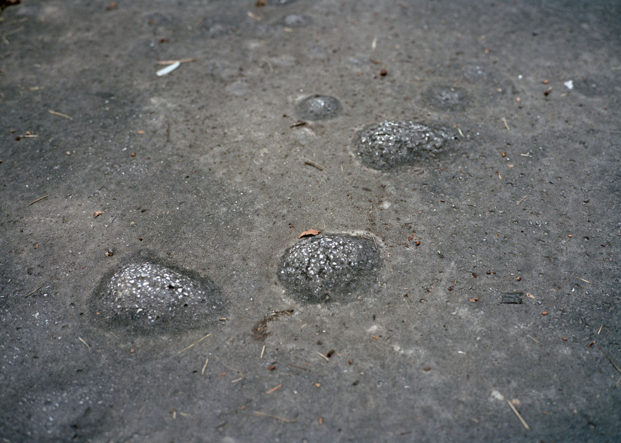 Philippe Durand - Beograd