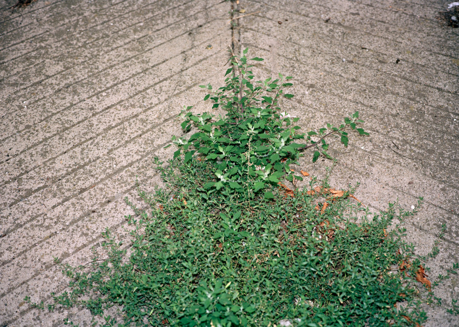 Philippe Durand - Beograd