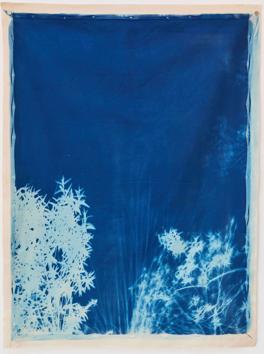 Philippe Durand - Bosc