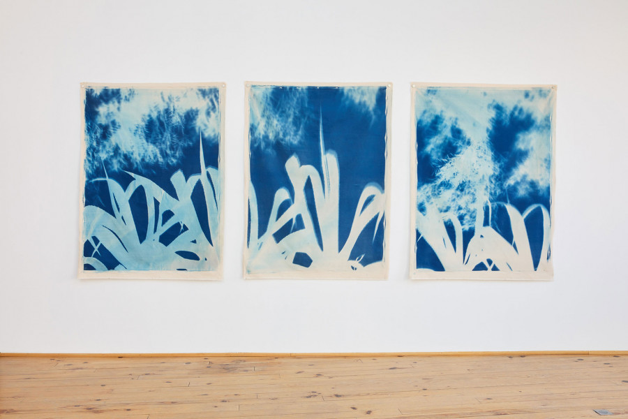 Philippe Durand - Bosc