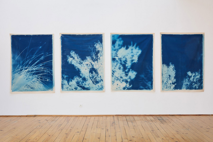 Philippe Durand - Bosc