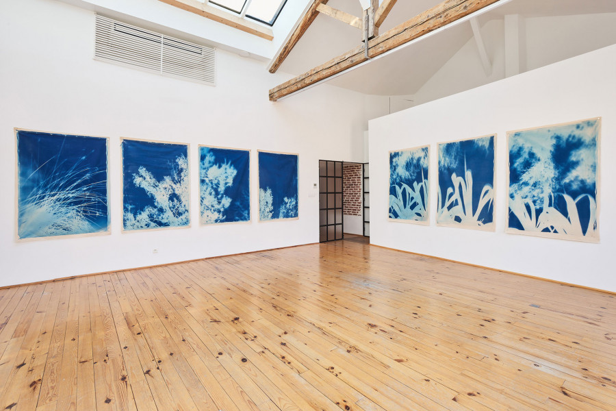 Philippe Durand - Bosc