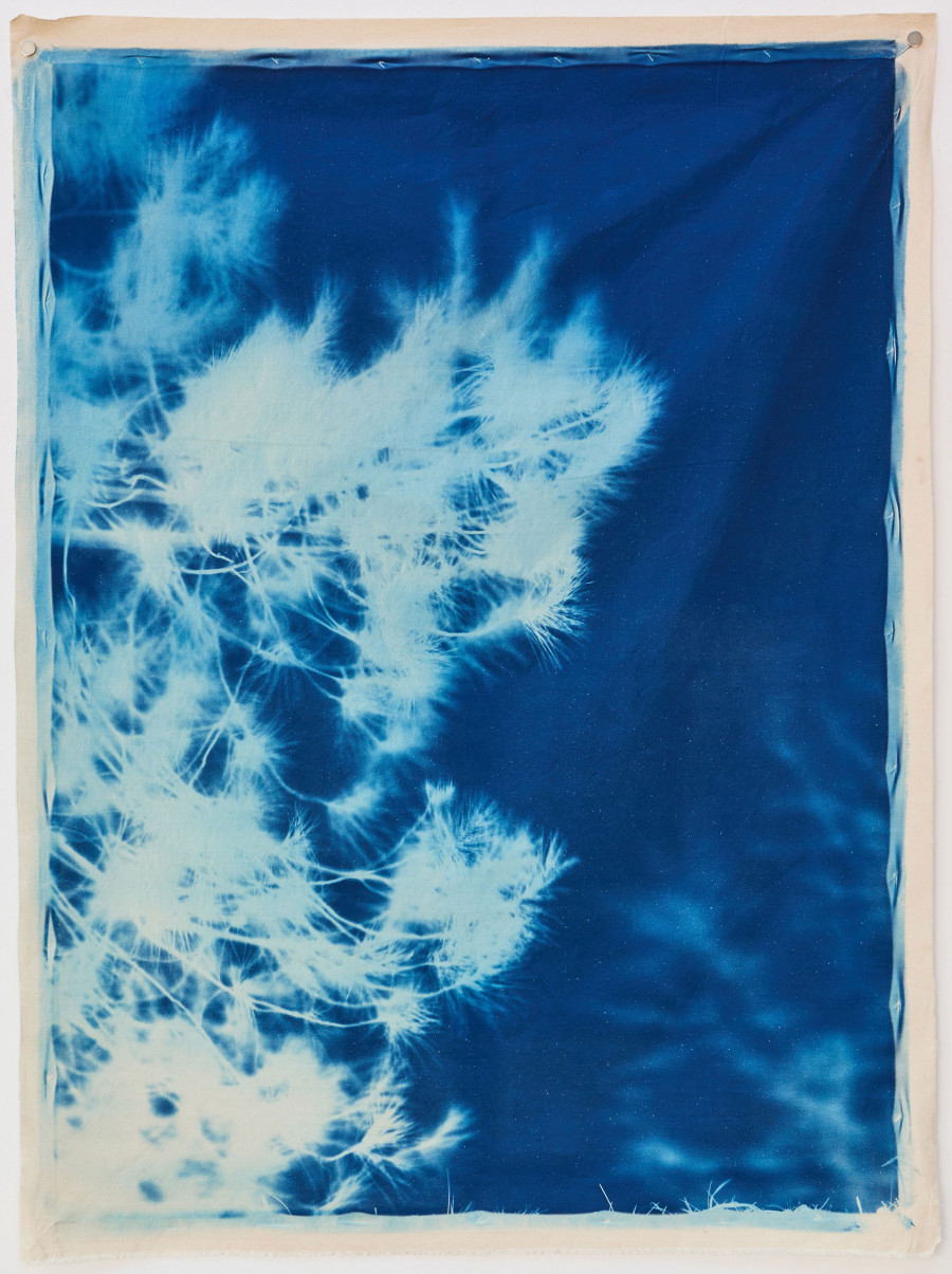 Philippe Durand - Bosc