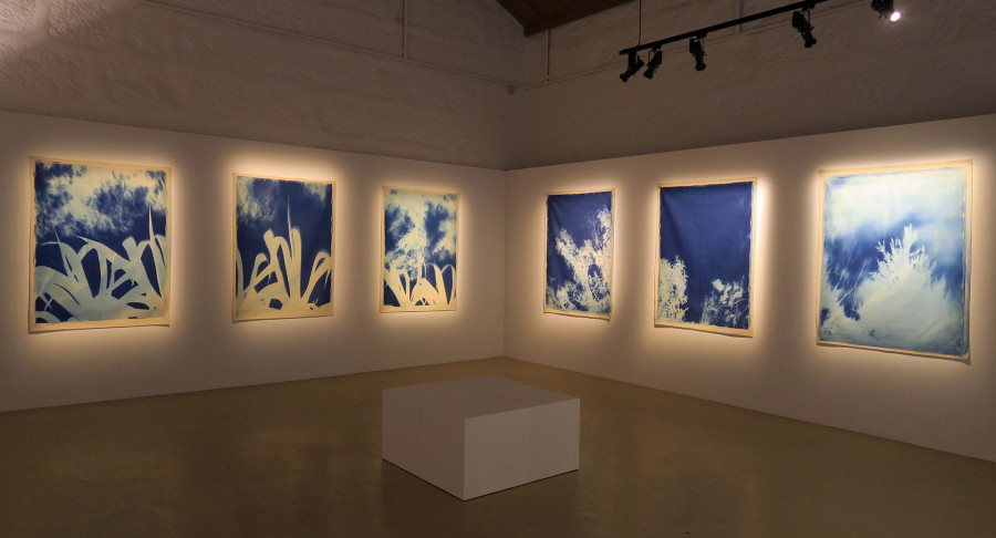 Philippe Durand - Bosc