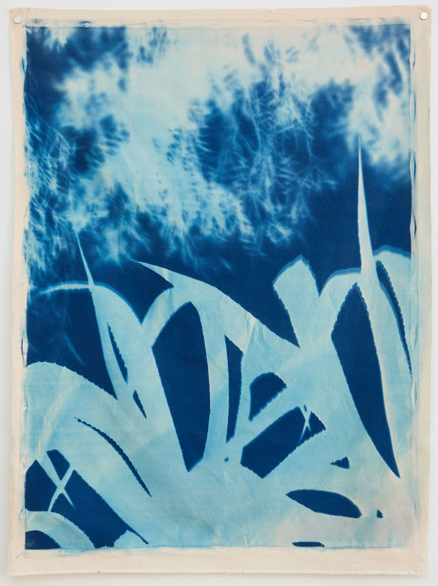 Philippe Durand - Bosc