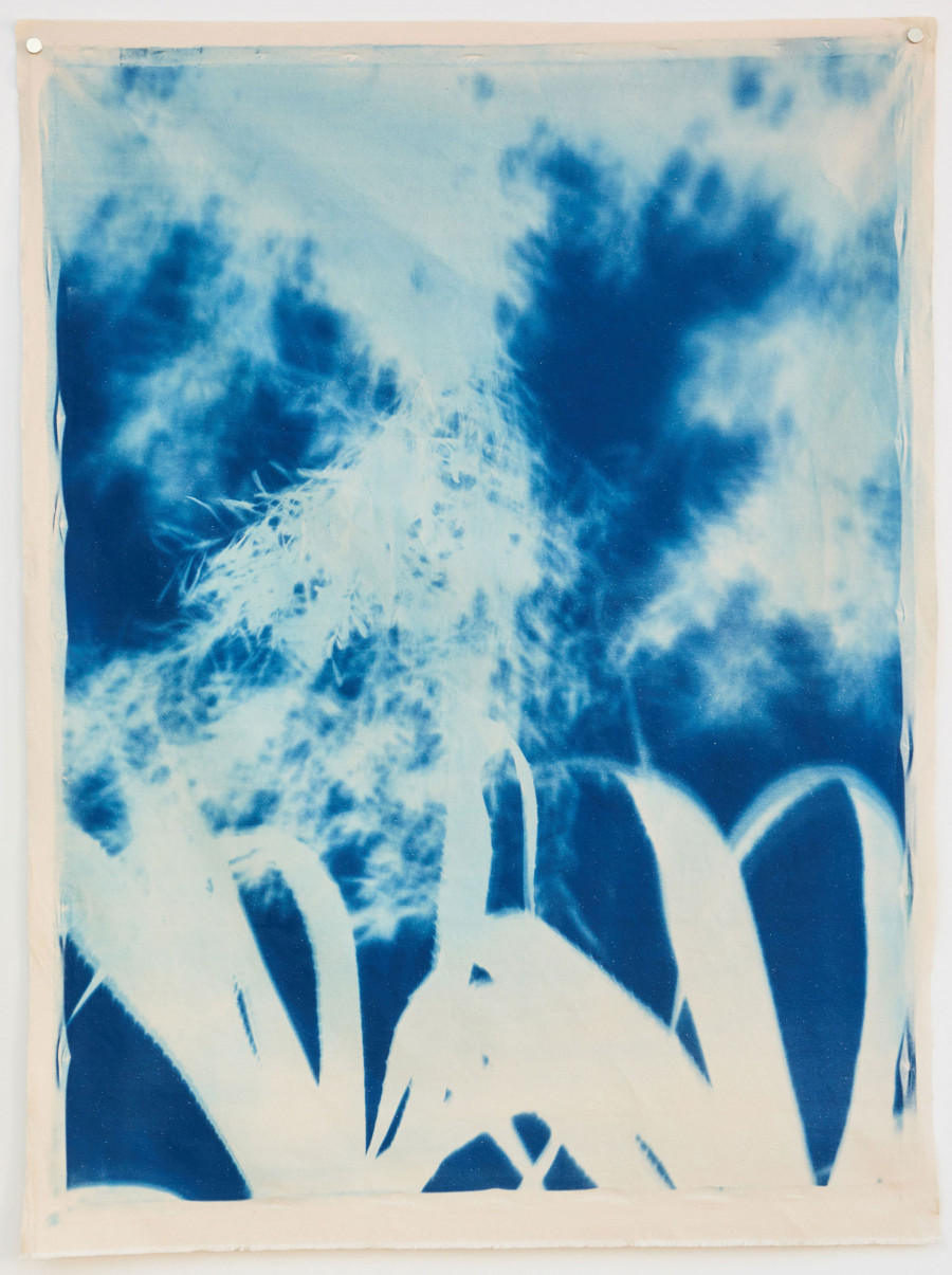 Philippe Durand - Bosc