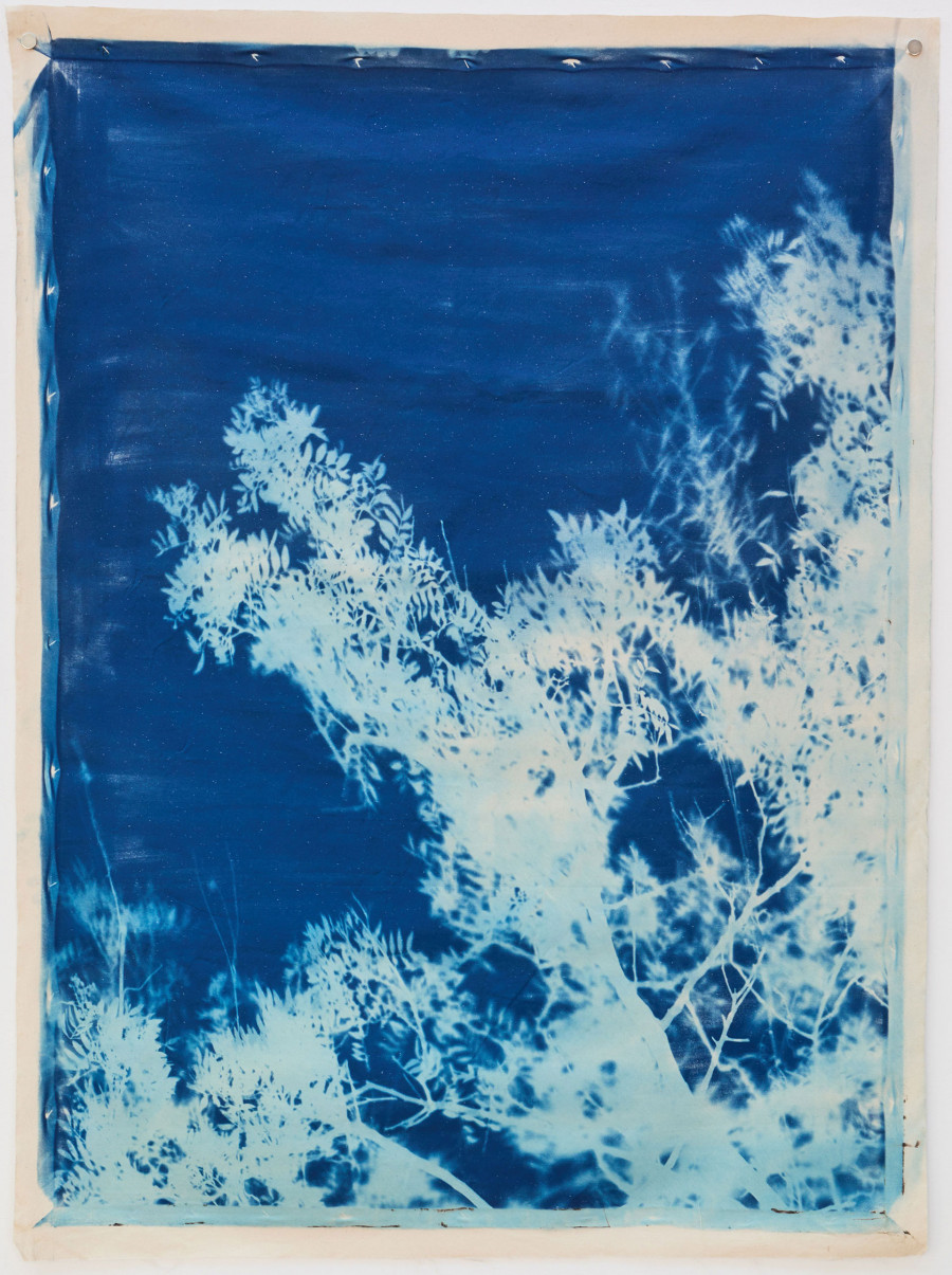 Philippe Durand - Bosc