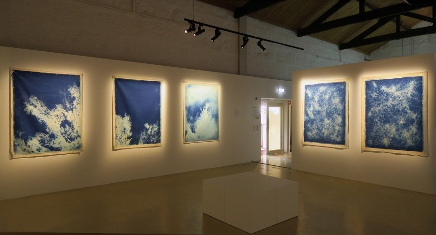 Philippe Durand - Bosc