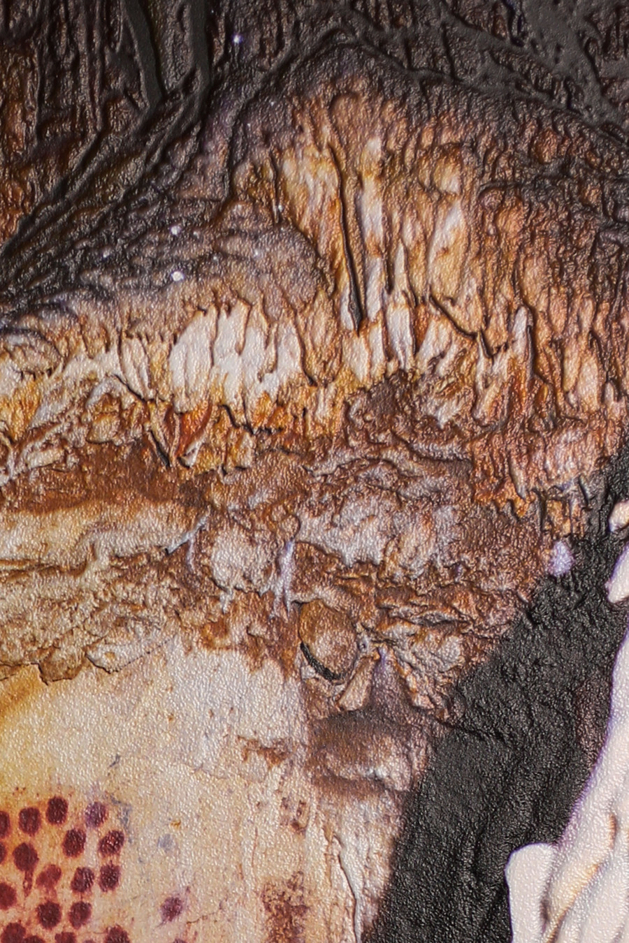 Philippe Durand - Chauvet 2.5D