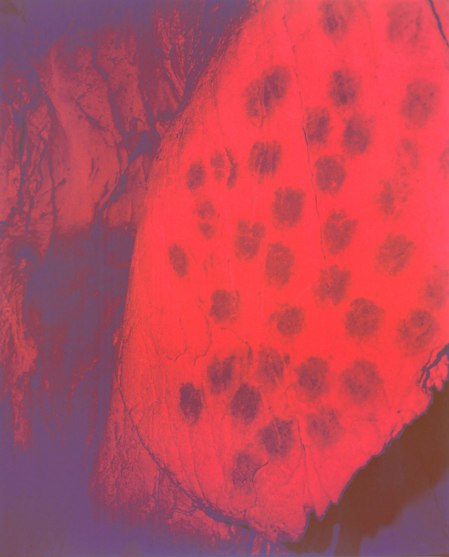 Philippe Durand - Chauvet