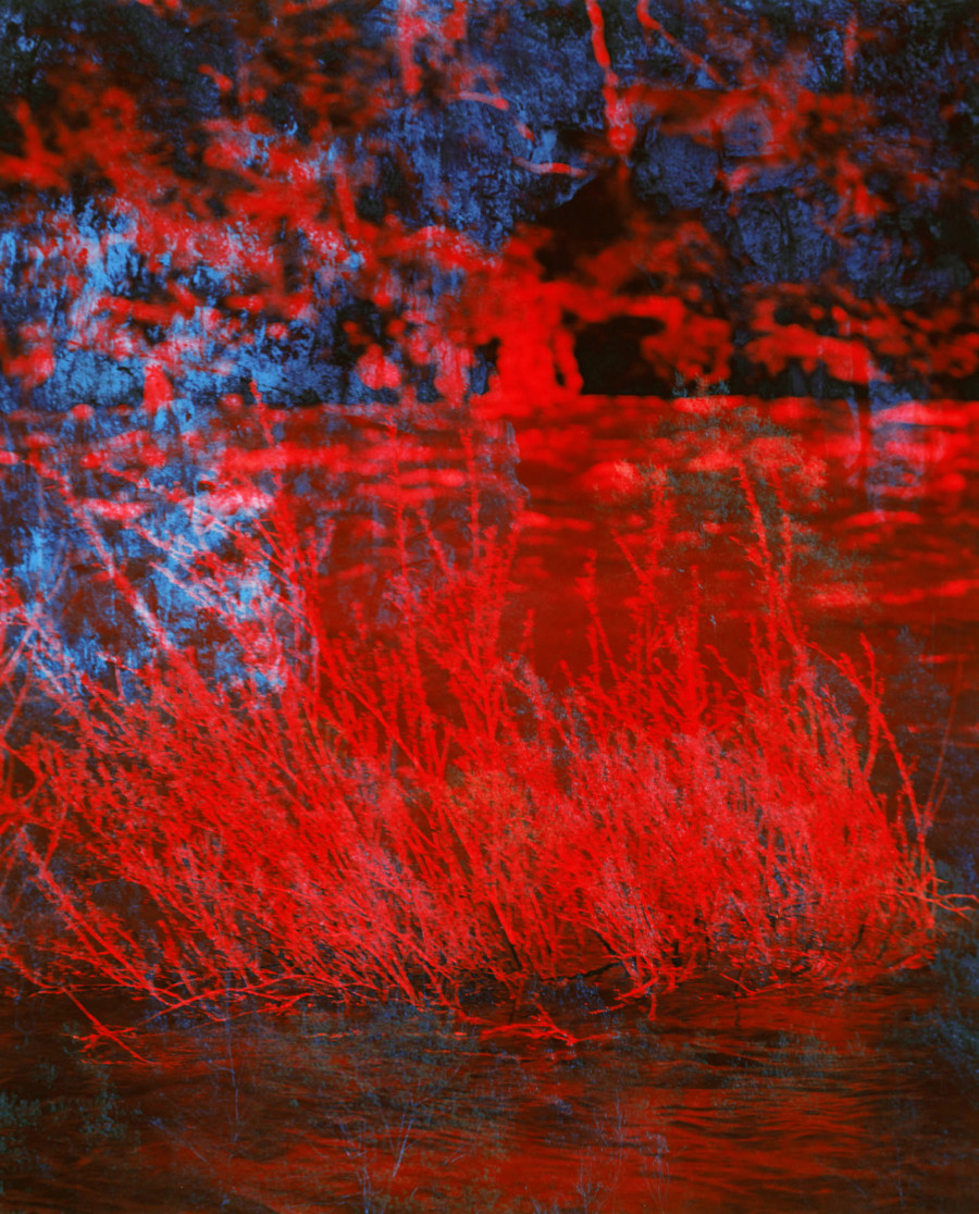 Philippe Durand - Chauvet