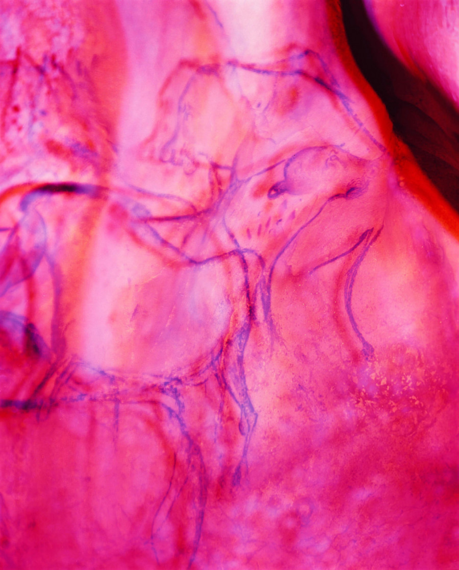 Philippe Durand - Chauvet