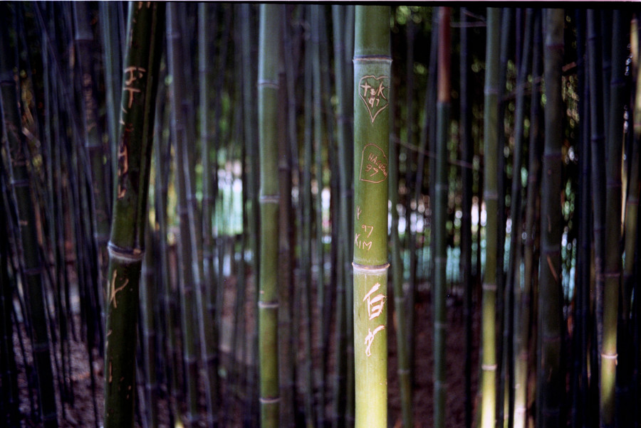 Philippe Durand - D’Hollywood