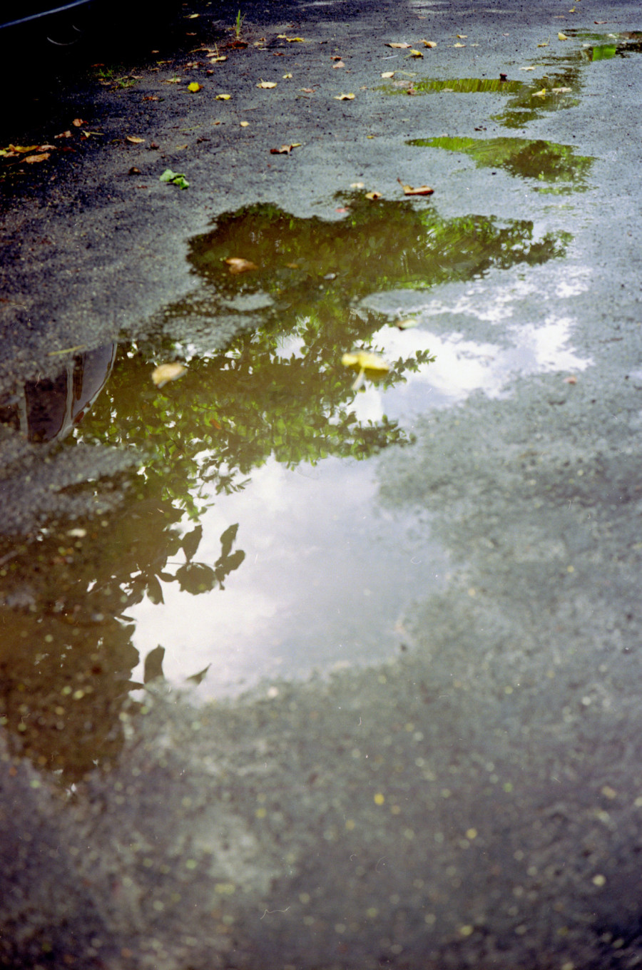 Philippe Durand - Flak Dlo