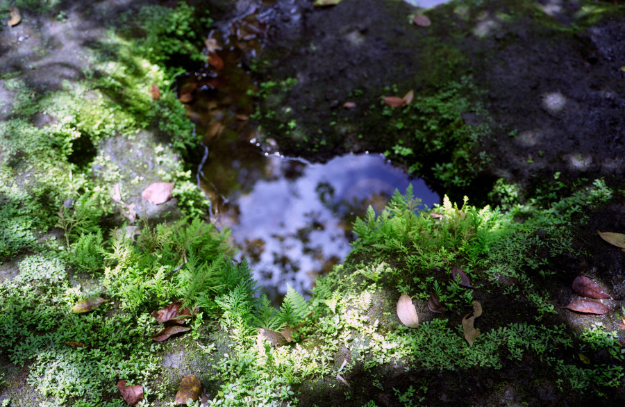 Philippe Durand - Flak Dlo