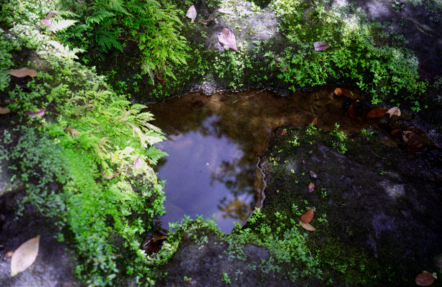 Philippe Durand - Flak Dlo