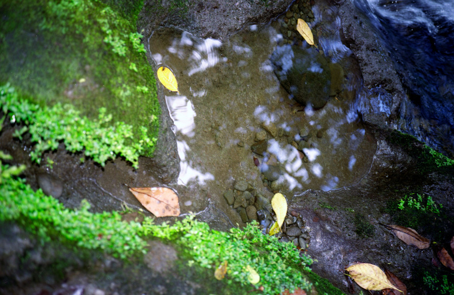 Philippe Durand - Flak Dlo