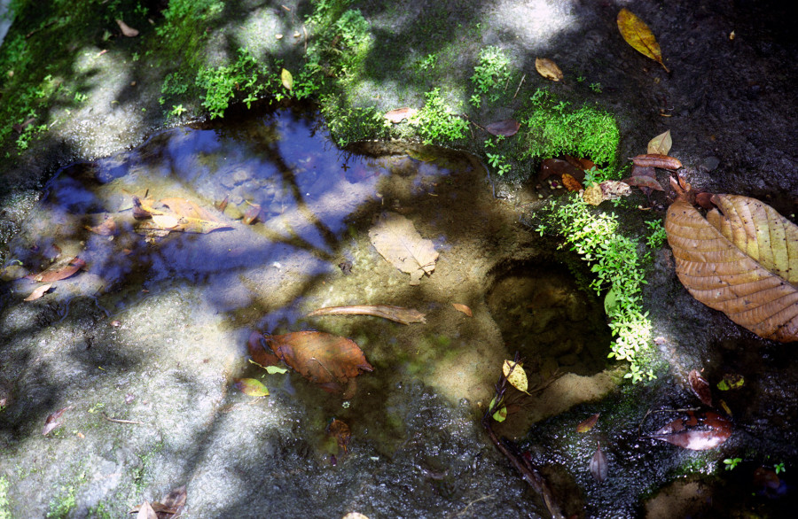 Philippe Durand - Flak Dlo