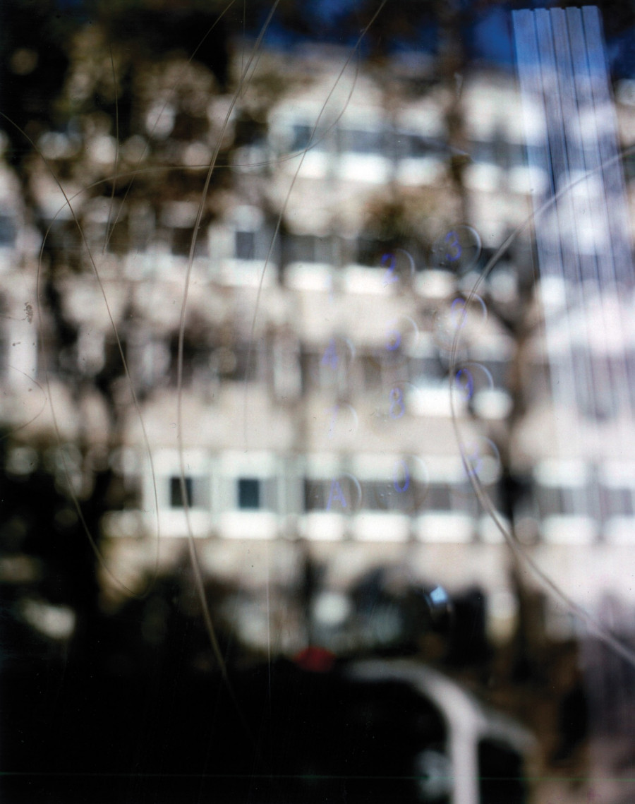 Philippe Durand - Foliages