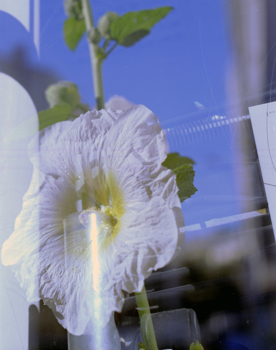 Philippe Durand - Foliages