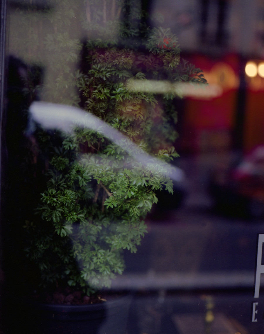 Philippe Durand - Foliages