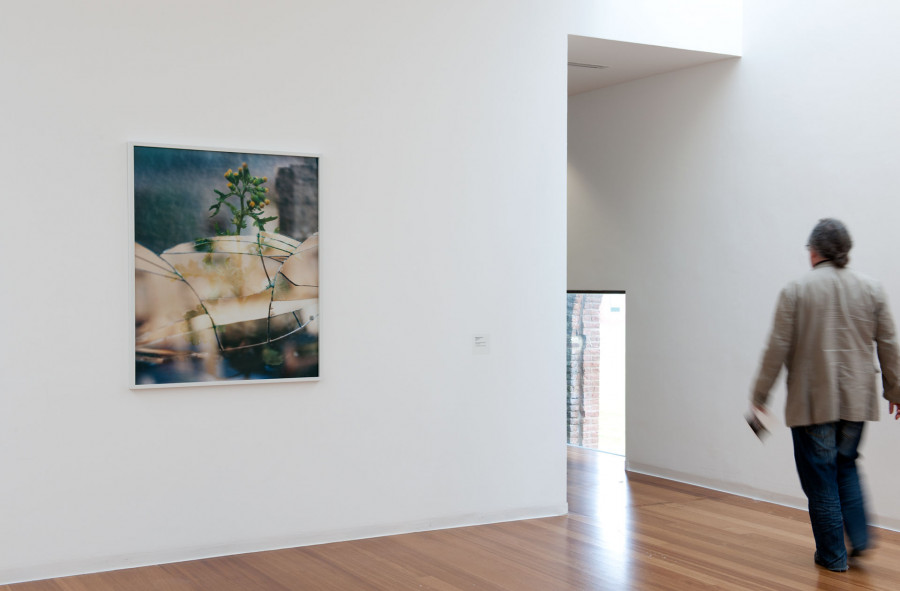 Philippe Durand - Foliages