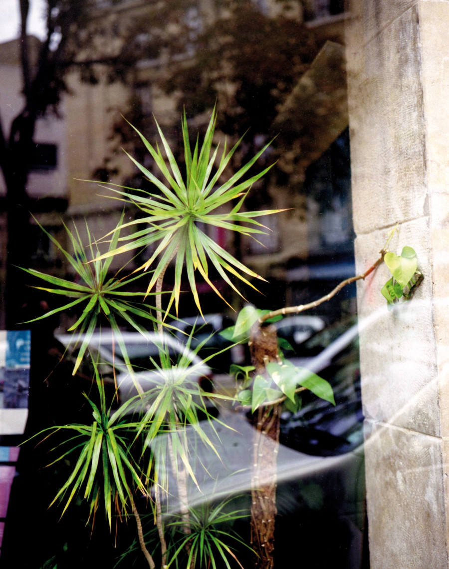 Philippe Durand - Foliages