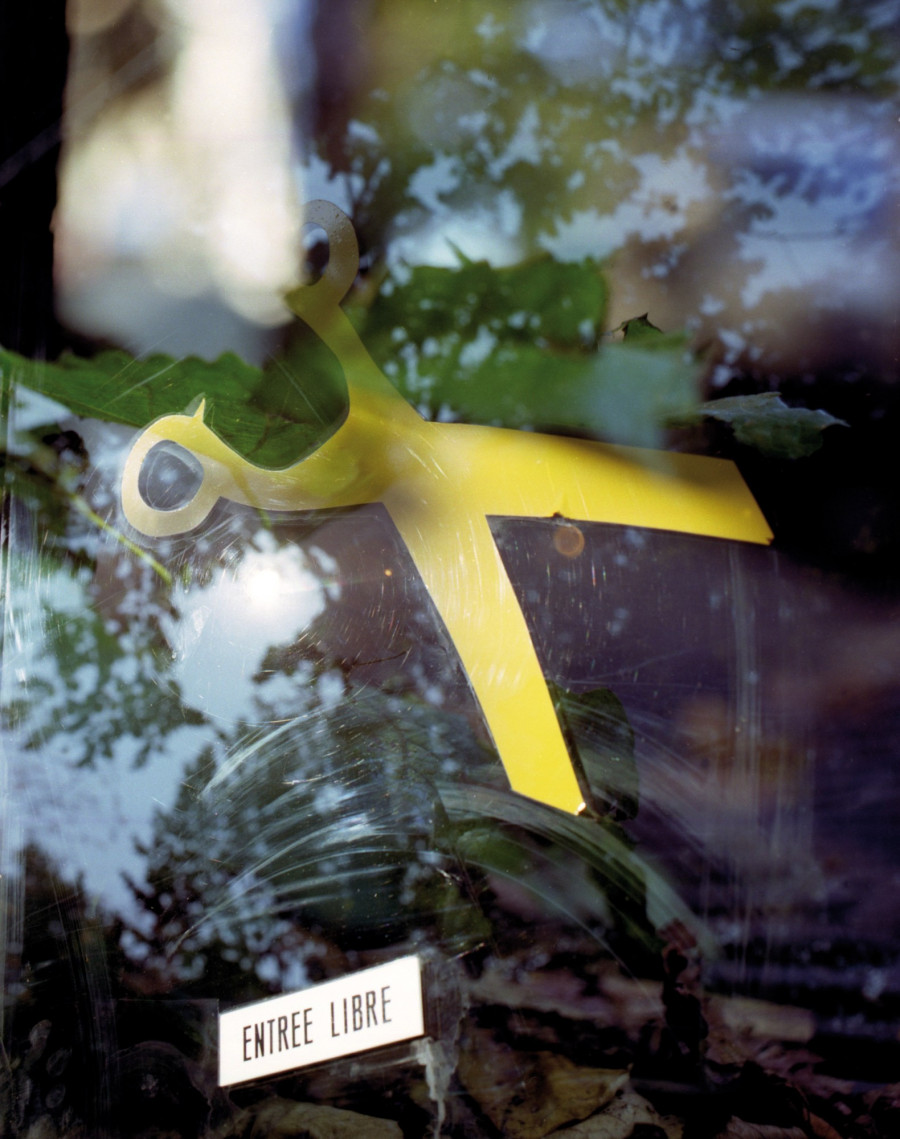 Philippe Durand - Foliages