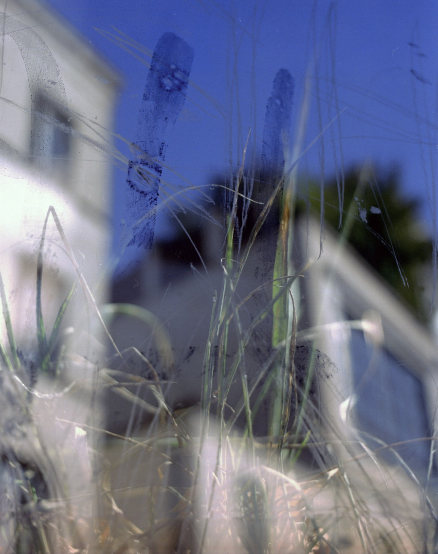 Philippe Durand - Foliages